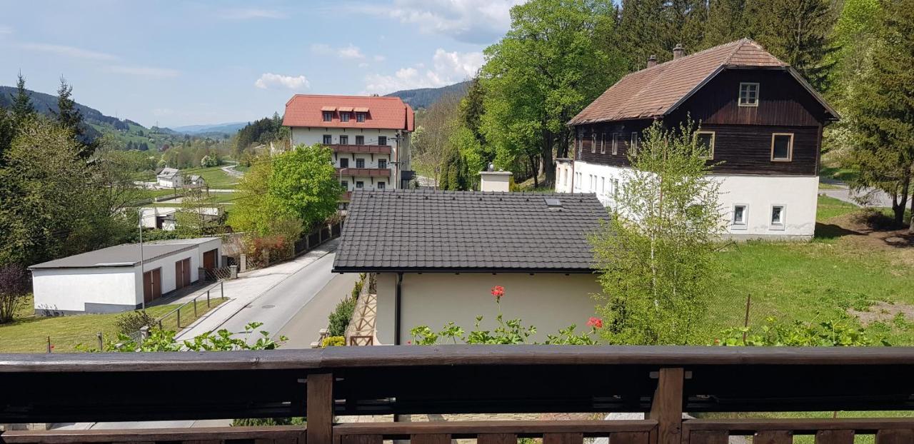 Haus Elena Am Semmering Steinhaus am Semmering ภายนอก รูปภาพ
