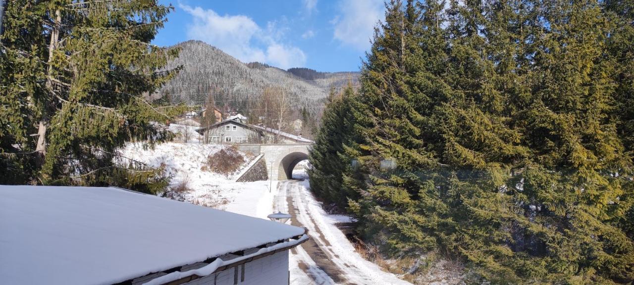 Haus Elena Am Semmering Steinhaus am Semmering ภายนอก รูปภาพ