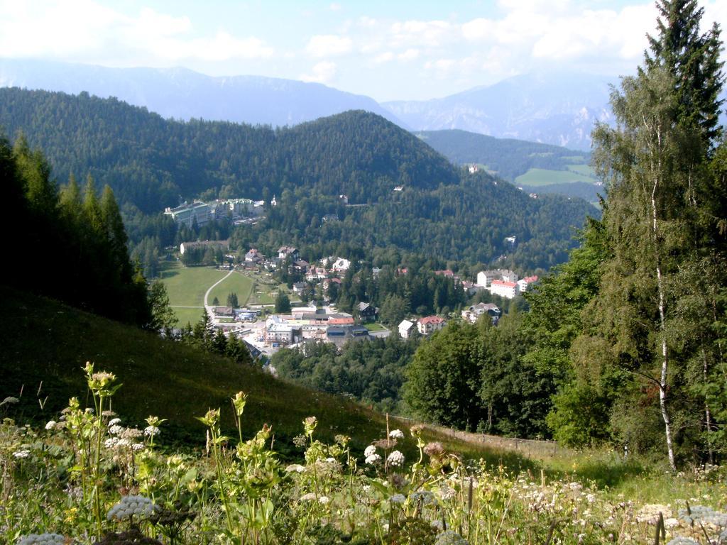 Haus Elena Am Semmering Steinhaus am Semmering ภายนอก รูปภาพ