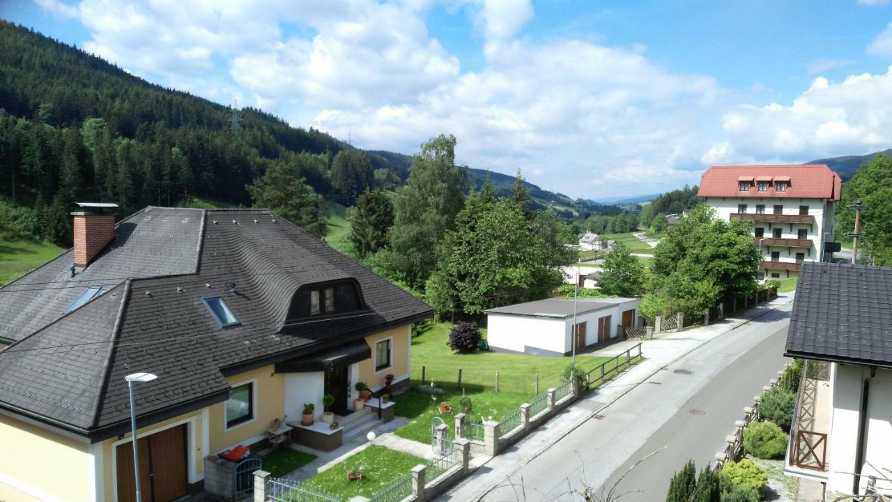 Haus Elena Am Semmering Steinhaus am Semmering ภายนอก รูปภาพ