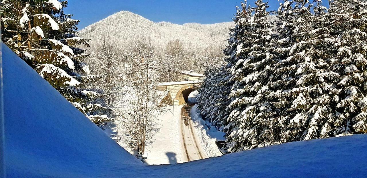 Haus Elena Am Semmering Steinhaus am Semmering ภายนอก รูปภาพ